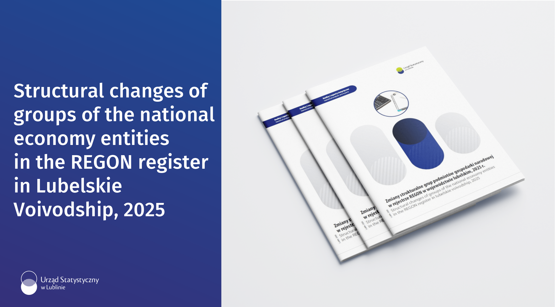 Structural changes of groups of the national economy entities in the REGON register in Lubelskie Voivodship, 2025