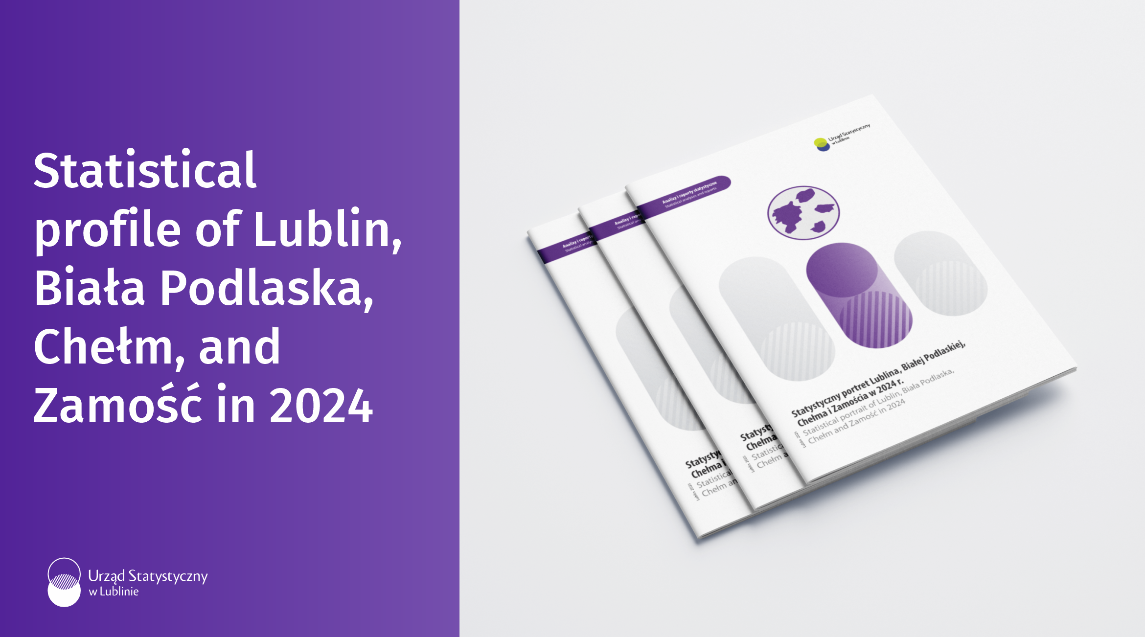 Statistical portrait of Lublin, Biała Podlaska, Chełm, and Zamość in 2024