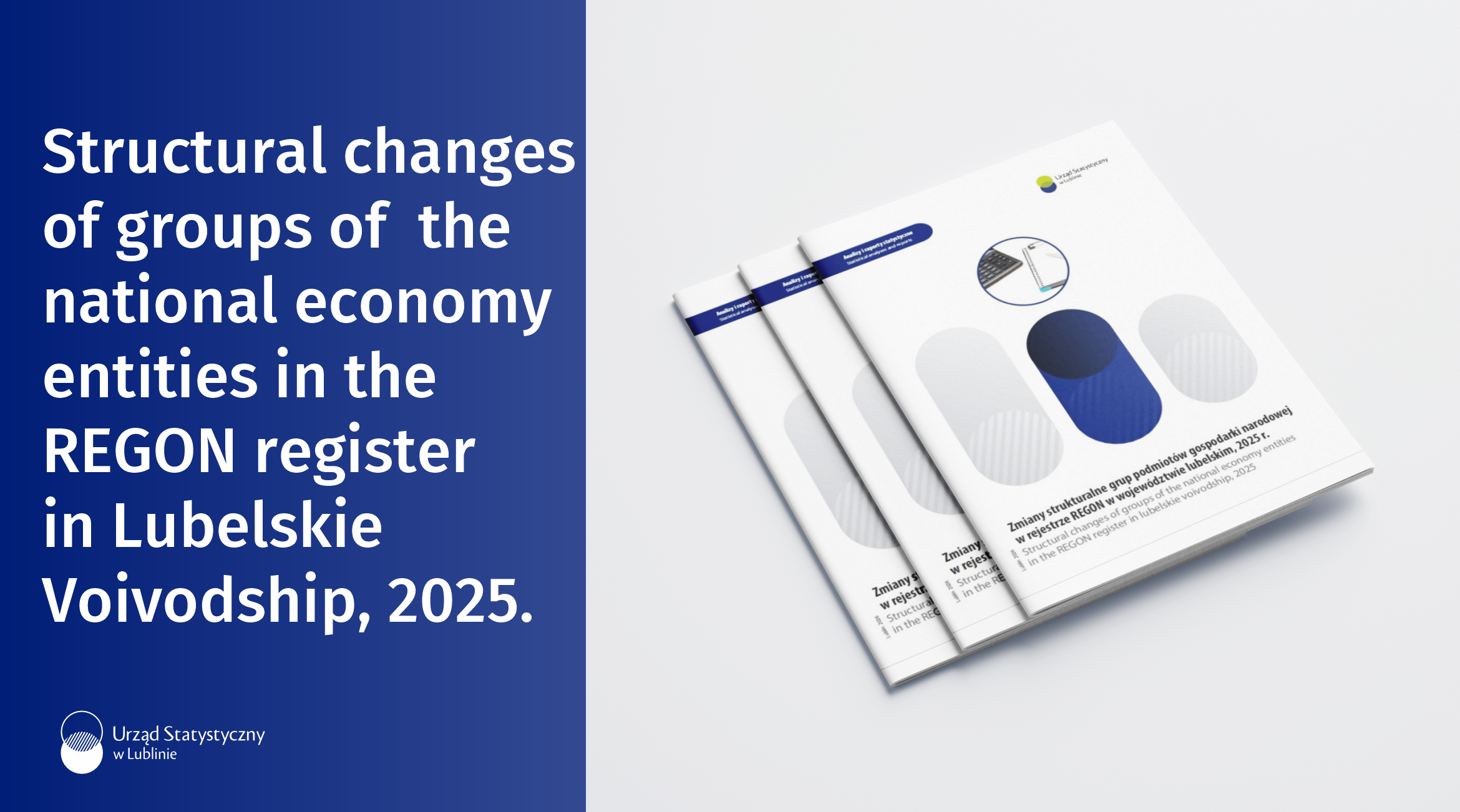 Structural changes of groups of the national economy entities in the REGON register in Lubelskie Voivodship, 2025