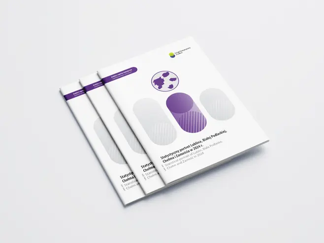 Statistical profile of Lublin, Biała Podlaska, Chełm, and Zamość in 2024