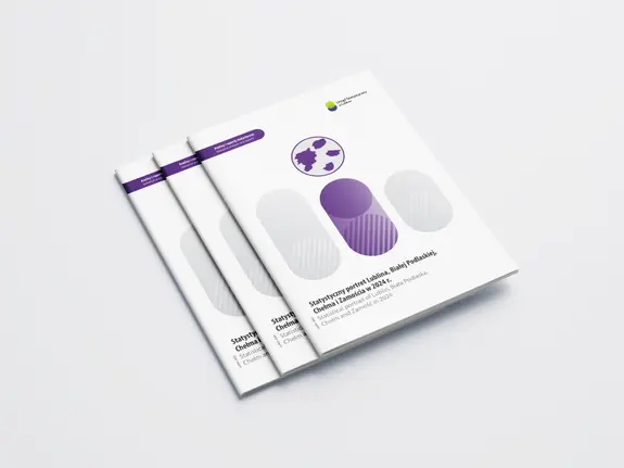 Statistical profile of Lublin, Biała Podlaska, Chełm, and Zamość in 2024